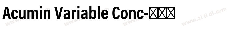Acumin Variable Conc字体转换